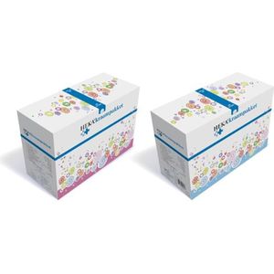 HEKA - Kraampakket - Zoogcompressen