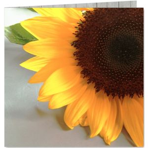 Bloemenkaart met zonnebloem