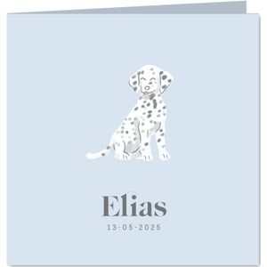 Lief blauw geboortekaartje met dalmatiër puppy