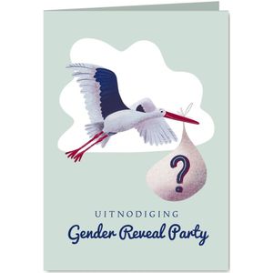 Uitnodiging voor gender reveal party met ooievaar