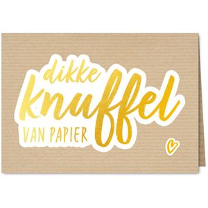 Beterschap - dikke papieren knuffel gewenst