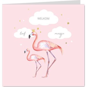 Felicitatie flamingo geboorte