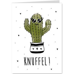Beterschapskaart met een stekelige cactus met tekst knuffel!