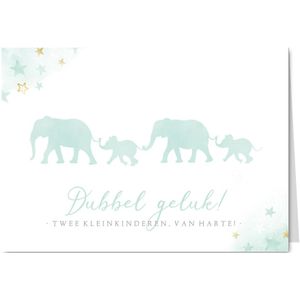 Felicitatiekaart geboorte kleinkind - tweeling geboren