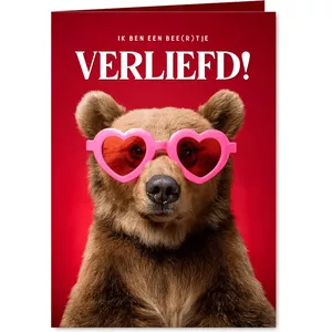 YBwanli 14 Stuks Valentijnsdag Decoraties, 360 Graden Display Romantische Voorstel Wil Je Mijn Vriendin 2524593635