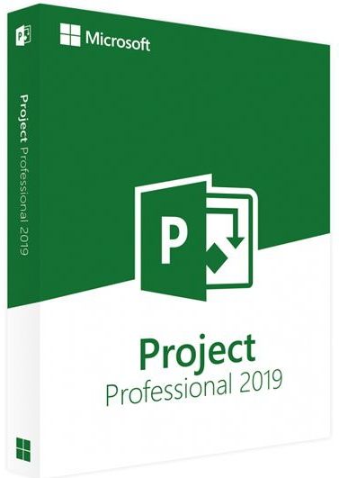 Microsoft Project Professional 2019