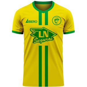 Aldosivi 2022-2023 Home Concept Football Kit (Libero)