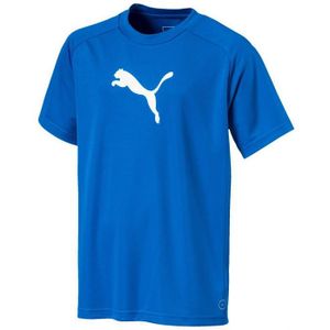 Children's Sports T-Shirt Puma T-Shirt Liga Sideline 152