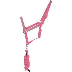 HyVIZ Reflektor Halfter und Führstrick (Cob) (Pink)