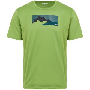 Regatta - "Fingal VIII" T-Shirt für Herren (3XL) (Pikantgrün)