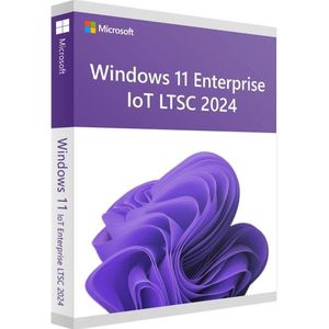 Microsoft Windows 11 IoT Enterprise LTSC 2024
