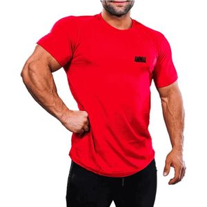 Universal Nutrition - Animal Logo T-shirt - Rood - M