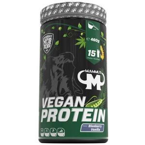Vegan Protein 460gr Blueberry Vanilla