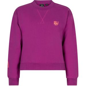 Indian Blue Jeans Sweater Magnefique Truien & Vesten Meisjes - Sweater - Hoodie - Vest- Roze