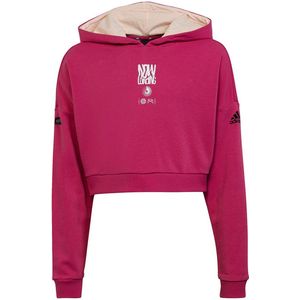 Adidas Arkd3 Ch Hoodie Roze Meisje