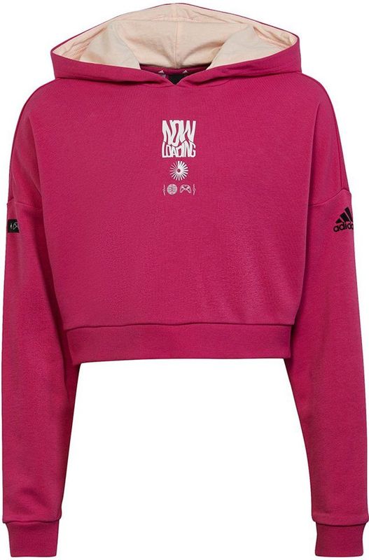 Adidas Arkd3 Ch Hoodie Roze Meisje