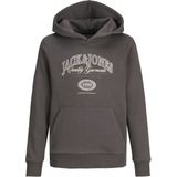 Jack & Jones - JJARI BRANDING SWEAT HOOD JNR - Hoodie - Pavement