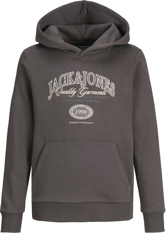 Jack & Jones - JJARI BRANDING SWEAT HOOD JNR - Hoodie - Pavement