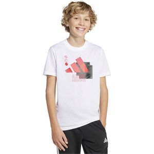 adidas - Camo Training Graphic - Sportshirt - Groen - Katoen