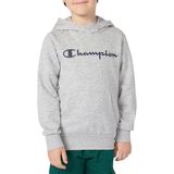 Sweater - Groen - Sweatstof - Capuchon - Logoprint - Normale Pasvorm