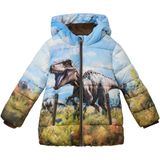 Jas - Gewatteerd - Winterjassen