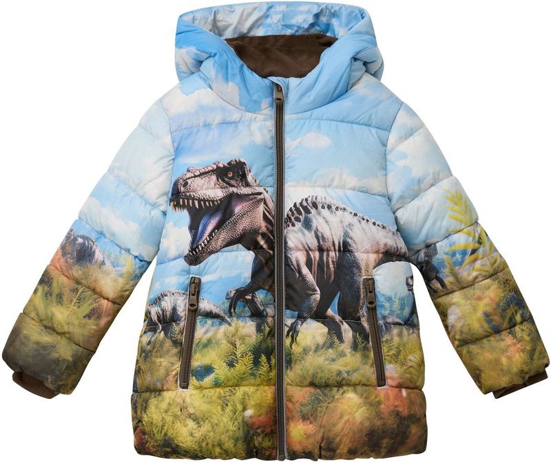 Jas - Gewatteerd - Winterjassen