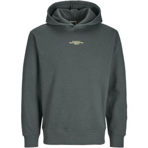 JACK & JONES Heren Jcoalpha Mountain Print Sweat Hood Hoodie, urban chic, M
