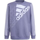 Adidas - Logo Sweatshirt - Paars - 5-6 Jaar - Jongen