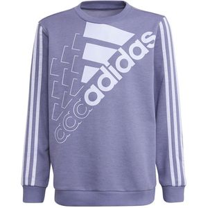 Adidas - Logo Sweatshirt - Paars - 5-6 Jaar - Jongen