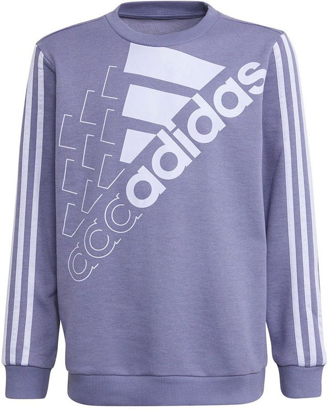 Adidas - Logo Sweatshirt - Paars - 5-6 Jaar - Jongen