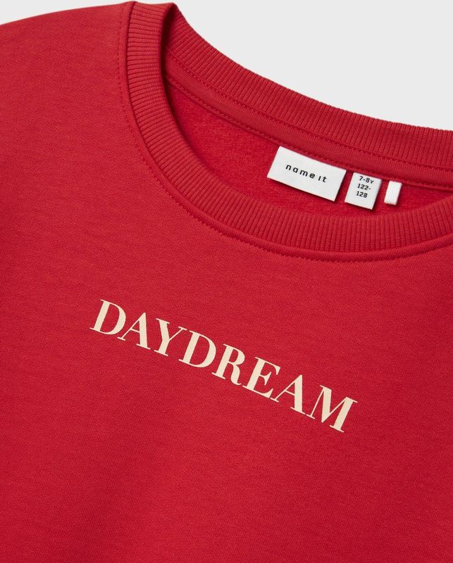 Sweatshirt - Regular Fit - Geborstelde Sweatstof - Lange Mouwen