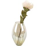 Present Time - Luster Vaas - Groen - Glas