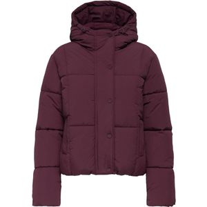 JDY - JDYWONDER SHORT HOOD PUFFER OTW SIJ - Gewatteerde Jas - Dames