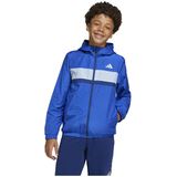 adidas - Windjack - Junioren - Zwart - 100% Gerecycled Polyester