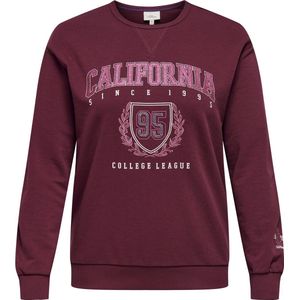 Carben - Sweatshirt - Zwart - Regular Fit - Lange Mouwen