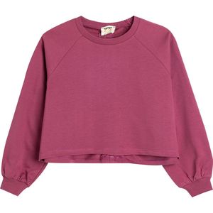 Ronde kraag Met garen Sweatshirt