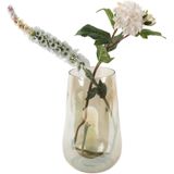 Vaas - Glas - Transparant