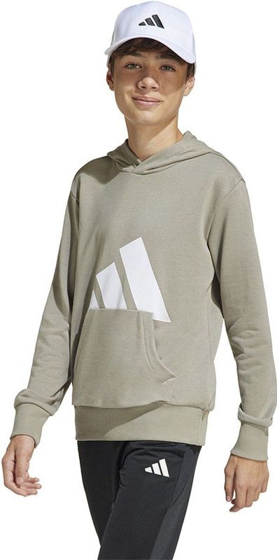 adidas - Hoodie - Grijs - Katoen/Polyester/Gerecycled