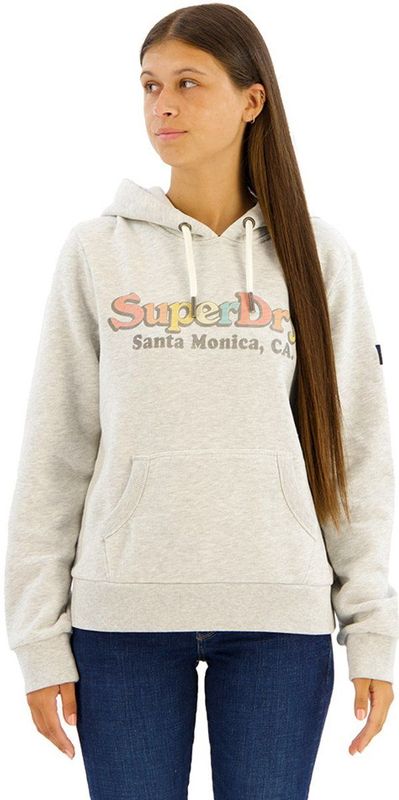 Superdry - Rainbow Logo - Hoodie - Grijs