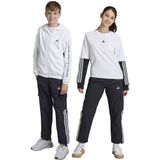 adidas - Cargobroek - Zwart - 100% Gerecycled Nylon