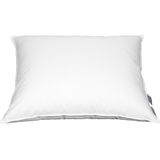 Hoofdkussen - Wit - 100% Katoen