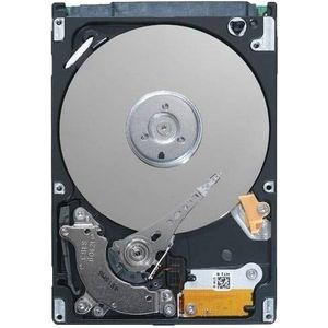 DELL 161-BBOY interne harde schijf 3.5" 4 TB SAS