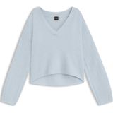 BOSS - Fiti - Lichtblauwe Trui - Casual - Katoen