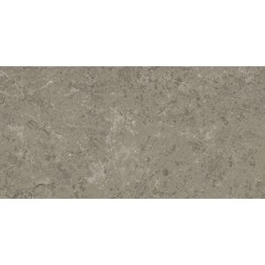 Valence Pacific vloertegel 60x120cm grijs marmer glans gerectificeerd