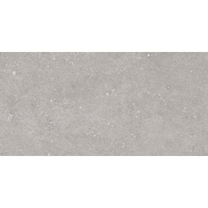 Jabo Flax Grey keramische vloertegel 30x60cm gerectificeerd