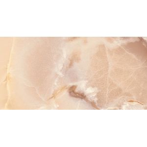 Vtwonen Tegels Onyx wandtegel 60x120cm roze gerectificeerd
