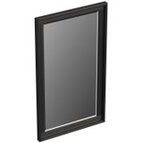 Forzalaqua Reno spiegel 40x70cm black oiled
