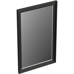 Forzalaqua Reno spiegel 50x80cm black oiled