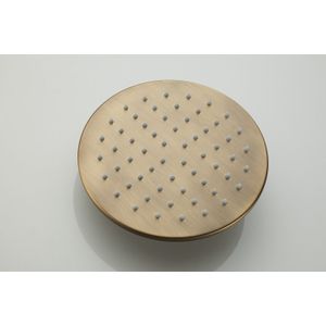 Saniclear Vision ronde douchekop 20cm verouderd messing
