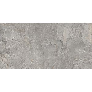 DTG Milestone vloer-/wandtegel 60x120cm grijs gerectificeerd
